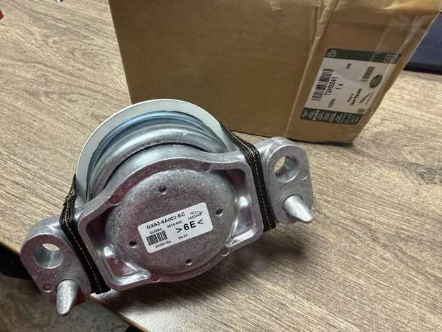 T2H9241 Jaguar 