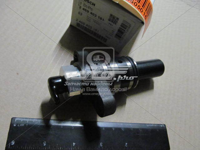 Плунжерная пара Bosch 2469403181 ціна, від 302.17 USD