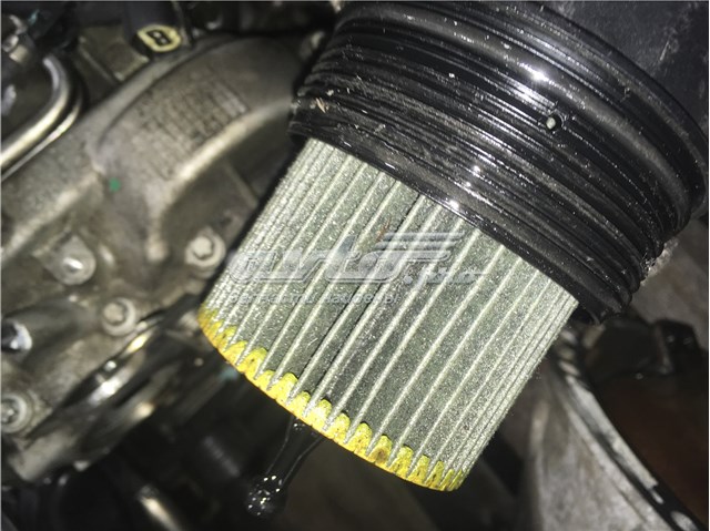 Купити 642920 Mercedes Двигун