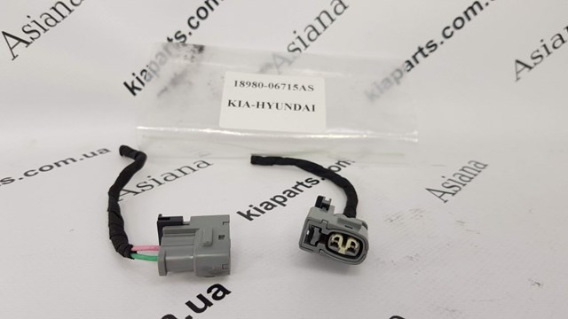 Купити 1898006762AS Hyundai/Kia 