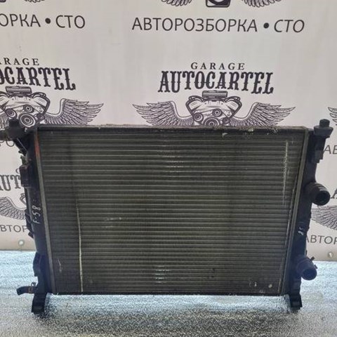 Хомут пластиковий універсальний PA66GF30 Renault (RVI)