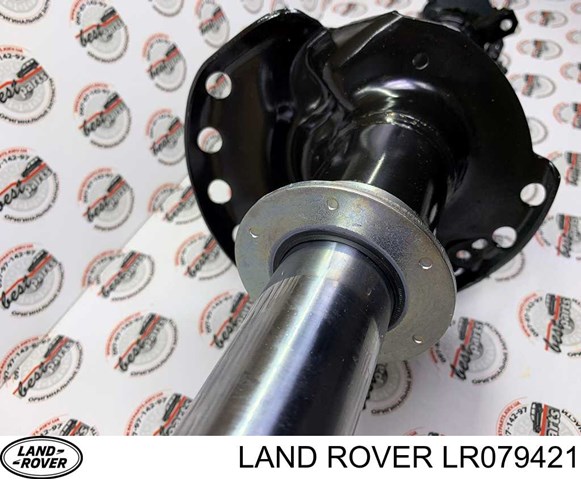 Амортизатор задній, правий LR079421 Land Rover