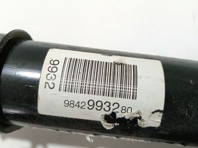  Peugeot/Citroen 9842993280