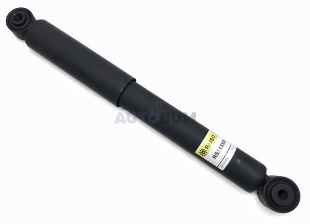 RS313320 Raiso Амортизатори задні