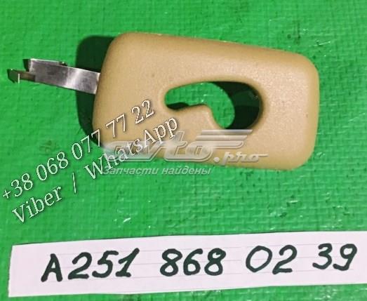 Купити A2518680239 Mercedes 