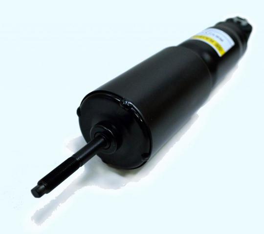 Амортизатори передні Raiso RS105819