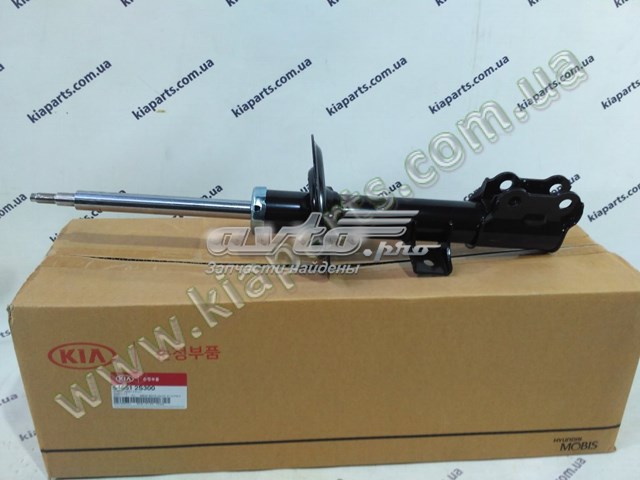 218136A700 Hyundai/Kia 