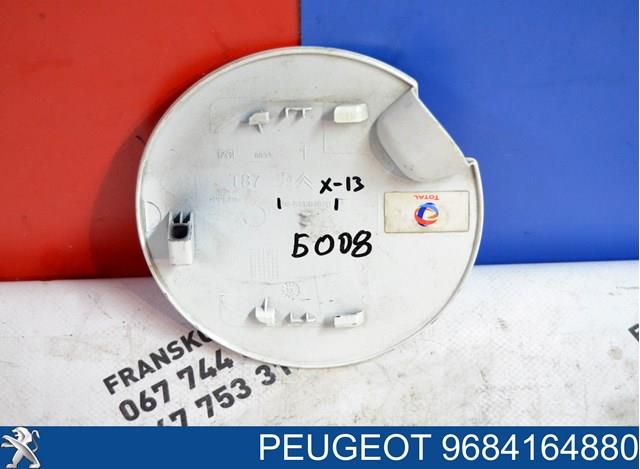 9684164880 Peugeot/Citroen 