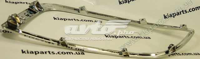 Ободок/окантовка фари протитуманної, лівий Hyundai/Kia 865812S300 ціна, від 154.78 USD