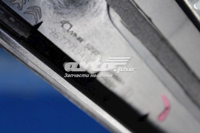 9677919480 Peugeot/Citroen 
