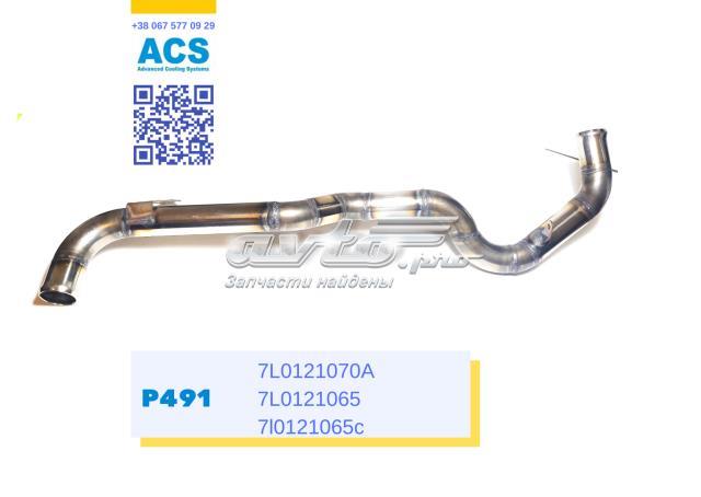Трубопроводи і шланги системи охолодження P491 ACS