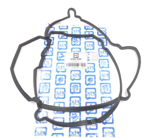 Прокладка клапанної кришки Q3001068 Q-fix