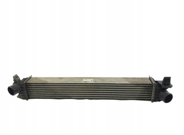 Інтеркулер 1613994080 Peugeot/Citroen