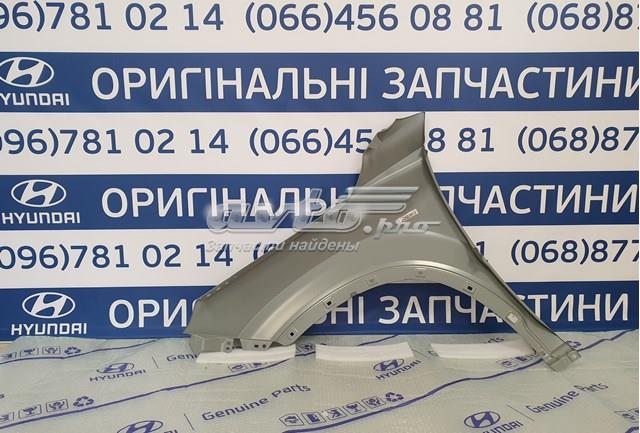 Купити 66321S8000 Hyundai/Kia Крила