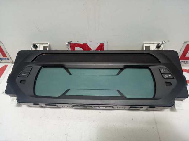 9811083780 Peugeot/Citroen 