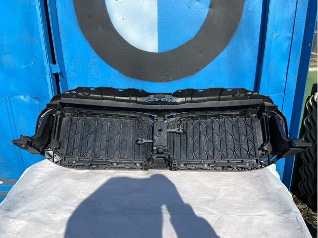 Купити 5A218F3 BMW Захисна решітка радіатора