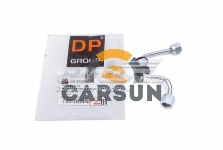  ES81323 DP Group