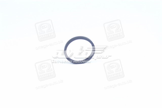 Прокладка термостата P1EC003 Parts-Mall