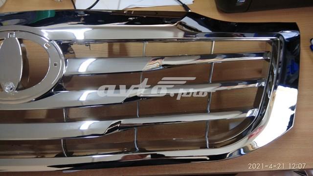 Купити 81P1051 Polcar Захисна решітка радіатора