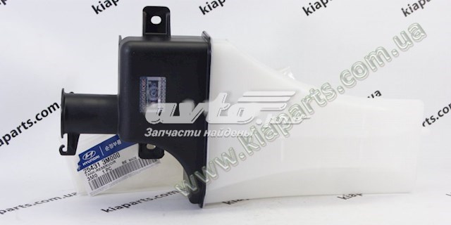Купити 254313M000 Hyundai/Kia Водяний бачок системи охолодження
