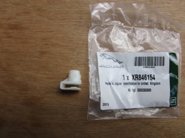 XR846154 Jaguar 