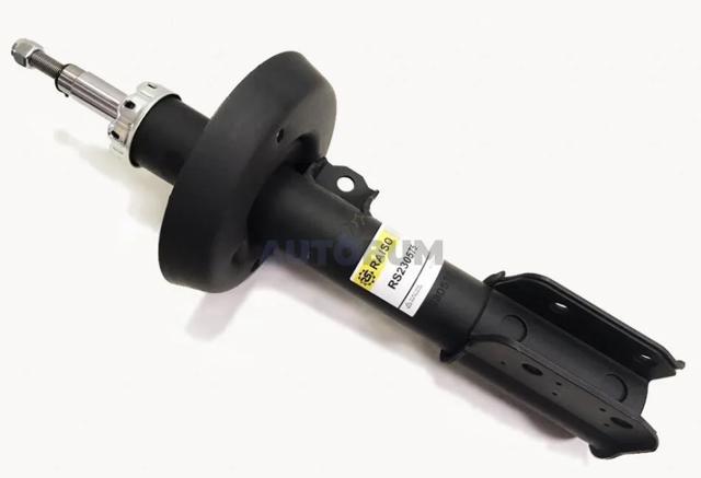 Амортизатор передньої підвіски, лівий Raiso RS230575 ціна, від 39.76 USD