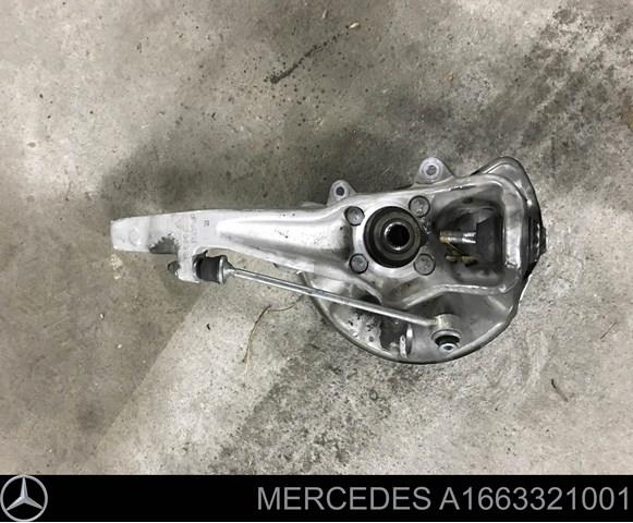Купити A1663321001 Mercedes 
