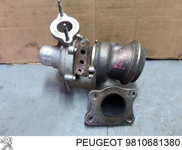  Peugeot/Citroen 9810681380 ціна, від 1.27 USD