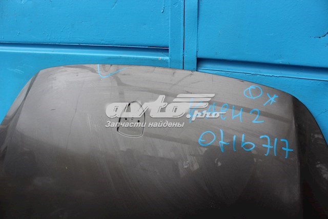 PPH20001A Signeda Капот