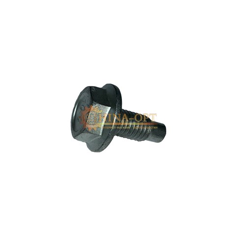 N10040003 Chery 
