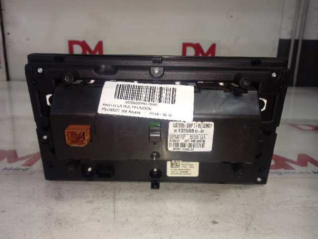  9813759880 Peugeot/Citroen