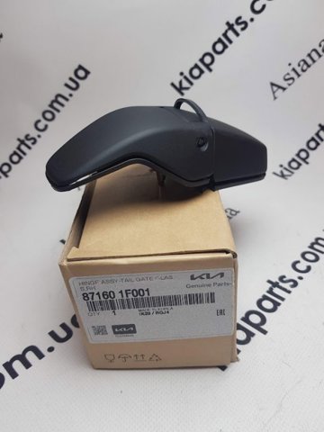 Молдинг даху, лівий Hyundai/Kia 872103R000 ціна, від 46.50 USD