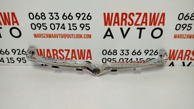 Молдинг решітки радіатора PTS07001MA Signeda
