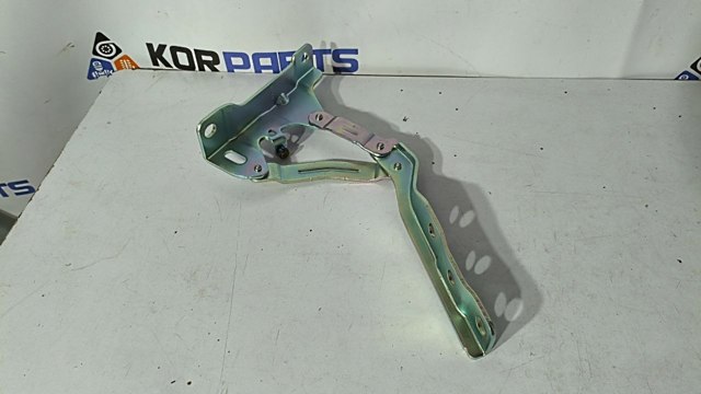 66910P1000 Hyundai/Kia Завіс капота, лівий