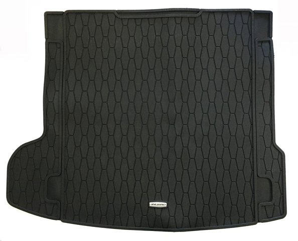 T4A38693 Jaguar 