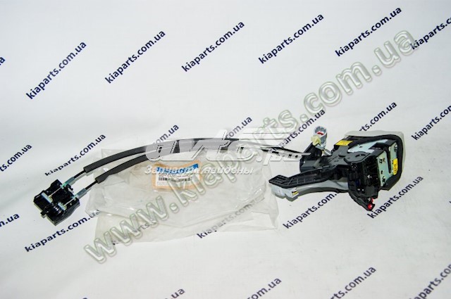 Замок передніх пасажирських дверей Hyundai/Kia 813202T130 ціна, від 105.80 USD