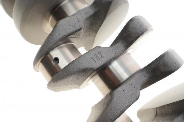 MTS1203 Motus 