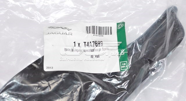 T4A7699 Jaguar 