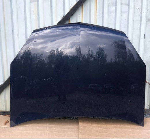 Капот General Motors 93183981 ціна, від 163.80 USD