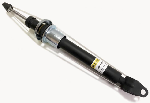 Амортизатори передні Raiso RS316950