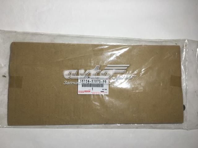 161243107099 Toyota 