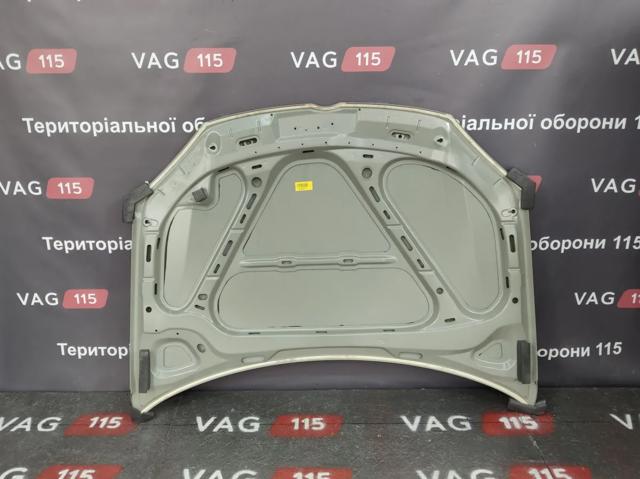 Купити PVW20031A Signeda Капот