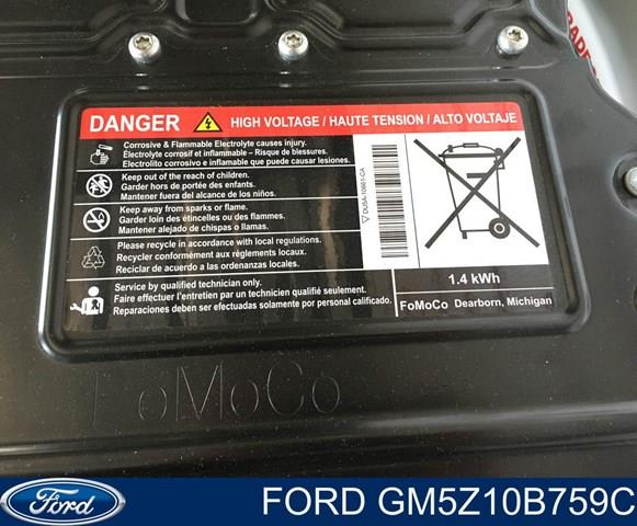  Ford GM5Z10B759C