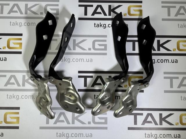 PTS21002AL Signeda Завіса капота ліва