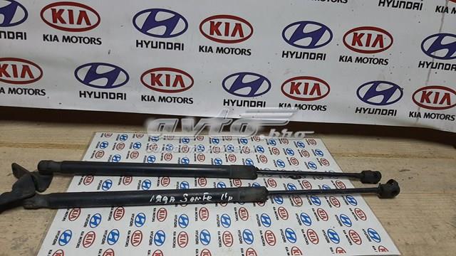 Купити 817814Z000 Hyundai/Kia Амортизатор двері багажника