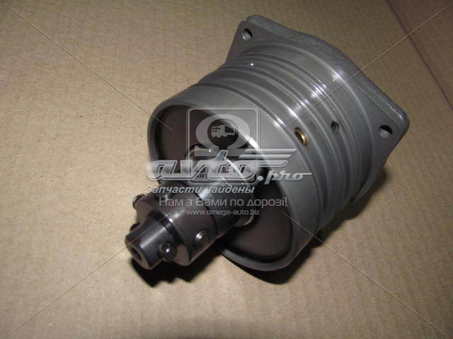 Плунжерная пара 1468434056 Bosch