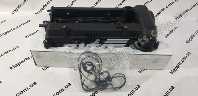 Клапанна кришка 224102B100 KAP