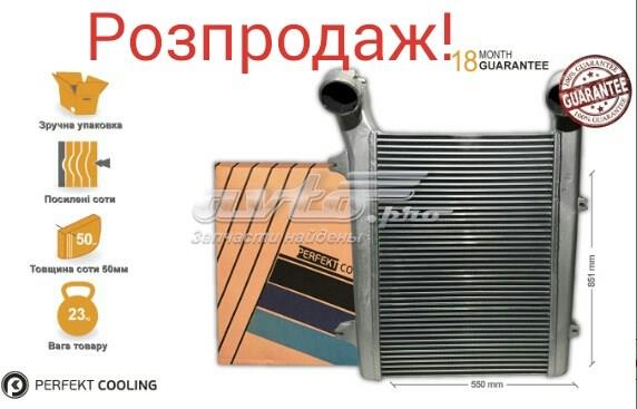 Радіатор охолодження двигуна 202DF966700 Perfekt Cooling