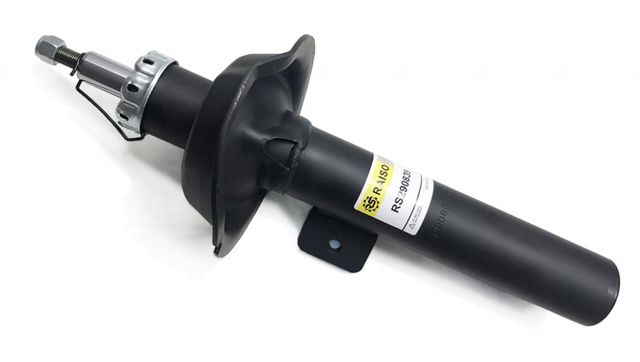 RS290839 Raiso Амортизатор передньої підвіски