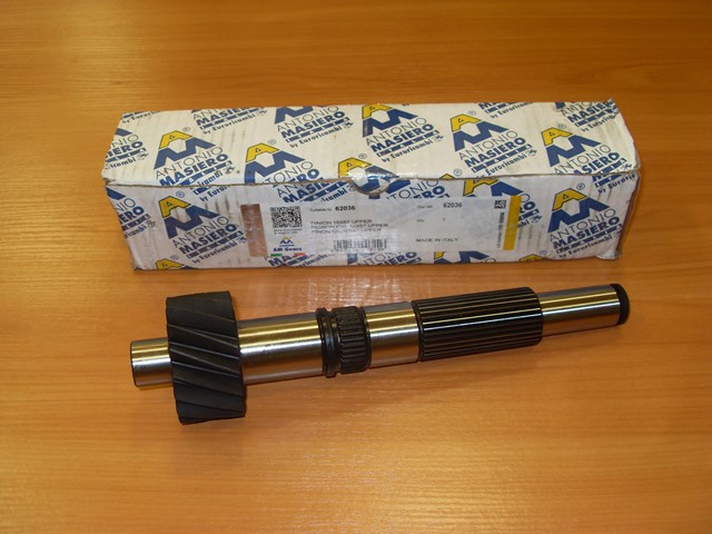 62036 Antonio Masiero 